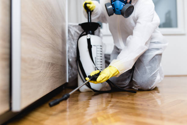 Best Local Pest Control Services  in Crystal Lawns, IL