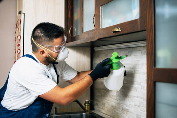 Best Termite Control Services  in Crystal Lawns, IL