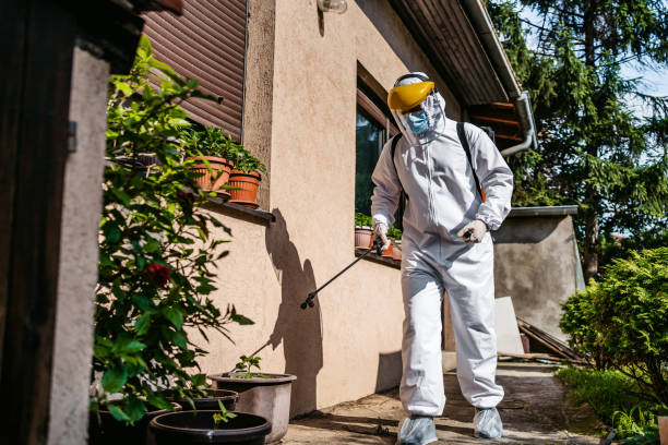 Best Emergency Pest Control  in Crystal Lawns, IL