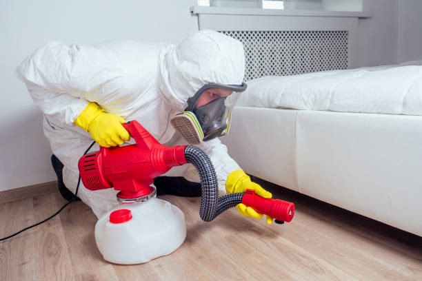 Best Affordable Pest Control Services  in Crystal Lawns, IL