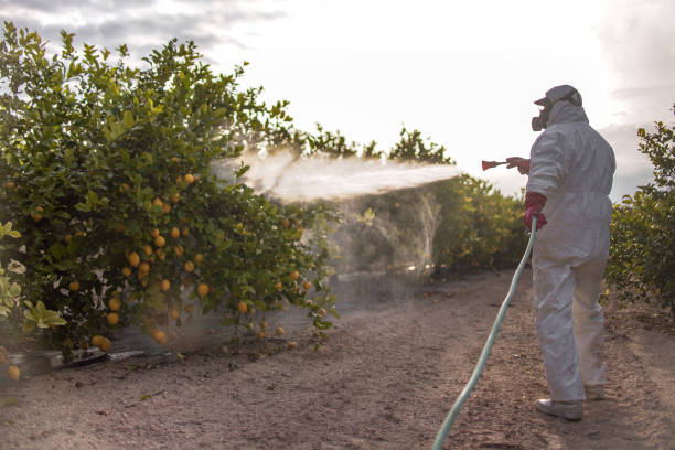 Best Pest Control Near Me  in Crystal Lawns, IL