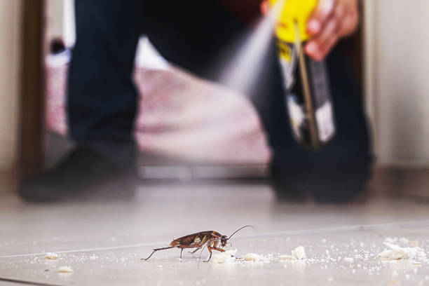 Best Local Pest Control Services  in Crystal Lawns, IL