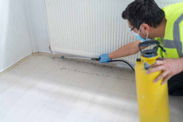 Best Pest Control Near Me  in Crystal Lawns, IL