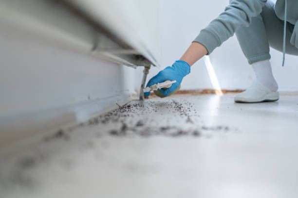 Best Pest Control for Homes  in Crystal Lawns, IL
