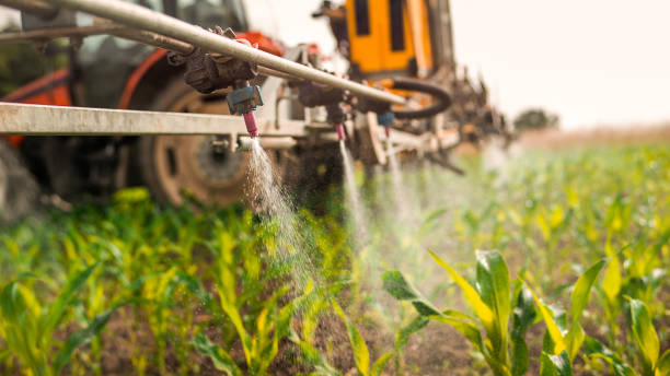 Best Pest Prevention Services  in Crystal Lawns, IL